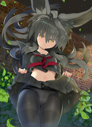 Rule 34 | 1girl, black hair, black pantyhose, black skirt, blush, breasts, brick wall, cameltoe, char, closed mouth, clothes lift, cowboy shot, crop top, crop top overhang, day, floating hair, hair between eyes, leaf, lifted by self, long hair, long sleeves, navel, neckerchief, necro-san, night, original, outdoors, panties, panties under pantyhose, pantyhose, pleated skirt, purple neckerchief, skirt, skirt lift, small breasts, solo, thighband pantyhose, thighs, tsurime, underwear, wall, wind, yellow eyes
