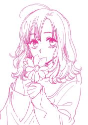 Rule 34 | 1girl, ahoge, baggy clothes, covered mouth, eyelashes, flower, hatta ayuko, highres, holding, holding flower, long sleeves, looking at viewer, medium hair, monochrome, off-shoulder shirt, off shoulder, original, parted hair, pink theme, shirt, simple background, sketch, sleeves past wrists, solo, upper body, wavy hair