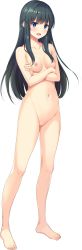 Rule 34 | 1girl, absurdres, barefoot, black hair, blue eyes, blush, breasts, completely nude, crossed arms, full body, hayami shizuno, hibikino-san-chi wa eroge-ya-san!, highres, long hair, looking at viewer, medium breasts, navel, nipples, no pussy, nude, official art, open mouth, solo, standing, transparent background