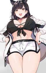 Rule 34 | 1girl, animal ears, atago (azur lane), azur lane, black hair, breasts, brown eyes, dog ears, dolphenry, dolphin shorts, extra ears, hair ribbon, hands on own hips, jacket, large breasts, looking at viewer, navel, open mouth, ribbon, shorts