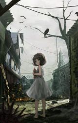 Rule 34 | 1girl, :o, barefoot, bird, blush, bread, brown hair, church, city, commentary, corpse, death, dress, fire, food, green eyes, hanged, highres, holding, house, looking at viewer, looking back, oota youjo, original, raven, crow, rope, rubble, scenery, see-through silhouette, short hair, silhouette, sleeveless, sleeveless dress, smoke, solo, white dress, worktool