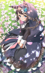 Rule 34 | 1girl, animal hood, black hair, black shirt, blue butterfly, blue eyes, blush, bow, bug, butterfly, field, flower, flower field, francesca (pride of eden), hair flower, hair ornament, highres, hood, insect, lolittleboy, long sleeves, looking at viewer, making-of available, outdoors, pink bow, red: pride of eden, shirt, white butterfly