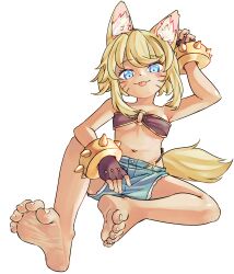 Rule 34 | 1girl, alternate hairstyle, animal ear fluff, animal ears, barefoot, belt bra, blonde hair, blue eyes, breasts, brown gloves, chaosexceed, closed mouth, denim, denim shorts, facial mark, feet, fingerless gloves, full body, gloves, highres, light blush, liru, looking at viewer, medium breasts, medium hair, navel, o-ring, o-ring top, renkin san-kyuu magical pokaan, shorts, simple background, sitting, smile, soles, solo, studded bracelet, tail, tan, toenails, toes, tongue, tongue out, whisker markings, white background, wolf ears, wolf girl, wolf tail, yellow tail