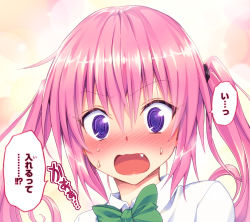 Rule 34 | 10s, 1girl, @ @, blush, bow, bowtie, colorized, embarrassed, fang, flustered, gradient background, highres, looking at viewer, multicolored background, nana asta deviluke, non-web source, open mouth, pink hair, portrait, purple eyes, school uniform, shirt, solo, speech bubble, sweat, to love-ru, to love-ru darkness, twintails, white shirt, yabuki kentarou, yamaiwa shuuhai