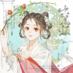 Rule 34 | 1girl, absurdres, bad source, black hair, braid, braided hair rings, branch, brown eyes, brown hair, chinese clothes, closed mouth, flower, food, fruit, guoshizhou, hair flower, hair ornament, hair rings, hand up, hanfu, highres, holding, leaf, long sleeves, looking at viewer, original, pink flower, pomegranate, ribbon, shawl, shuangyaji, smile, solo, upper body