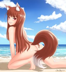 Rule 34 | 1girl, all fours, animal ears, ass, beach, blush, brown hair, cloud, commentary, covering privates, covering crotch, cslucaris, english commentary, holo, long hair, looking at viewer, nude, ocean, red eyes, signature, sky, smile, solo, spice and wolf, tail, wolf ears, wolf tail