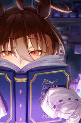 Rule 34 | 1girl, absurdres, agnes tachyon (umamusume), ahoge, animal ears, blurry, blurry background, book, book stack, brown hair, coat, commentary request, flask, hair between eyes, highres, holding, holding book, horse ears, horse girl, indoors, lab coat, laboratory, long sleeves, looking at viewer, reading, red eyes, short hair, sleeves past fingers, sleeves past wrists, solo, test tube, test tube rack, umamusume, umeumeduka, white coat