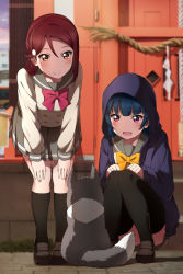 Rule 34 | 2girls, :d, animal, anko (love live! sunshine!!), black footwear, black socks, blue hair, blurry, blurry background, bow, bowtie, brown eyes, buttons, clenched hands, dog, double-breasted, hair ornament, hairclip, half updo, hands on own knees, highres, hood, hood up, hooded jacket, jacket, kneehighs, knees together feet apart, leaning forward, legs together, loafers, long hair, long sleeves, love live!, love live! sunshine!!, multiple girls, open mouth, pleated skirt, purple eyes, purple jacket, red hair, red neckwear, sakurauchi riko, school uniform, serafuku, shiimai, shoes, skirt, smile, socks, squatting, thighhighs, tsushima yoshiko, yellow neckwear