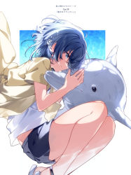 Rule 34 | 1girl, air bubble, bare legs, black shorts, blue hair, bubble, closed mouth, commentary request, crying, dark blue hair, dolphin, feet out of frame, highres, jacket, misakino kukuru, open clothes, open jacket, promotional art, sandals, shiroi suna no aquatope, shirt, short hair, short sleeves, shorts, solo, tears, u35, underwater, white shirt