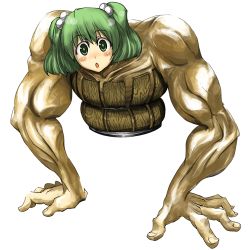 Rule 34 | 1girl, :o, arm support, blush stickers, bucket, female focus, green eyes, green hair, hair bobbles, hair ornament, in bucket, in container, kisume, lowres, muscular, neichiru, simple background, solo, touhou, twintails, what, white background