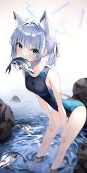 Rule 34 | absurdres, animal ear fluff, animal ears, black one-piece swimsuit, blue archive, blue eyes, breasts, competition swimsuit, covered navel, cross hair ornament, cyr7629, extra ears, fish, grey hair, hair ornament, halo, hands on own thighs, highres, low ponytail, medium breasts, medium hair, mismatched pupils, mouth hold, multicolored clothes, multicolored swimsuit, official alternate costume, one-piece swimsuit, rock, shiroko (blue archive), shiroko (swimsuit) (blue archive), simple background, swimsuit, white background, wolf ears