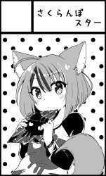 Rule 34 | 1girl, animal ears, bracelet, chaakusu, character name, circle cut, commentary request, ear piercing, earrings, fennery (show by rock!!), fox ears, fox tail, greyscale, highres, jewelry, long sleeves, monochrome, multicolored hair, piercing, polka dot, short hair, show by rock!!, single earring, skull print, streaked hair, tail, two-tone hair