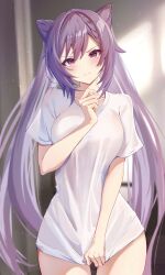 Rule 34 | 1girl, absurdres, blush, breasts, closed mouth, commentary request, cone hair bun, double bun, genshin impact, hair between eyes, hair bun, highres, keqing (genshin impact), large breasts, long hair, looking at viewer, naked shirt, pink eyes, puripuri, purple hair, revision, shirt, shirt tug, short sleeves, sidelocks, solo, t-shirt, twintails, white shirt