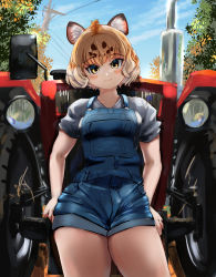 Rule 34 | 1girl, absurdres, almondrake, alternate costume, animal ears, bare arms, blonde hair, blue overalls, blush, brown hair, closed mouth, contemporary, cowboy shot, day, head tilt, highres, jaguar (kemono friends), jaguar ears, kemono friends, looking at viewer, motor vehicle, multicolored hair, outdoors, overall shorts, overalls, shirt, short hair, short sleeves, sitting, smile, solo, tractor, tree, white hair, yellow eyes