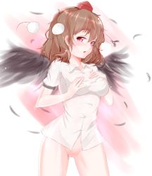 Rule 34 | 1girl, bad id, bad pixiv id, black wings, blush, bottomless, brown hair, expressionless, feathers, hat, looking at viewer, naked shirt, red eyes, septet (zrca janne), shameimaru aya, shirt, solo, tokin hat, touhou, uncensored, wings
