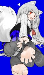 Rule 34 | absurdres, animal ears, fang, feet, foot focus, from behind, highres, long hair, looking back, menthako, myuri (spice and wolf), open mouth, red eyes, silver hair, soles, spice and wolf, tail, toes, wolf ears, wolf tail