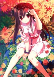 Rule 34 | 1girl, absurdres, autumn, autumn leaves, between legs, blush, brown hair, dress, from above, fumio (ura fmo), hand between legs, hand on forehead, highres, huge filesize, leaf, legs, long hair, long legs, looking at viewer, looking up, maple leaf, one side up, red eyes, sitting, smile, solo, spread legs, tareme