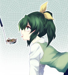 Rule 34 | 10s, 1girl, all fours, bad id, bad pixiv id, blush, bug, butterfly, green eyes, green hair, green sweater vest, highres, insect, ladle, looking up, matching hair/eyes, midorikawa nao, open mouth, ponytail, precure, saliva, school uniform, short hair, smile precure!, solo, sweater vest, tears, tongue, uranaishi (miraura), worm