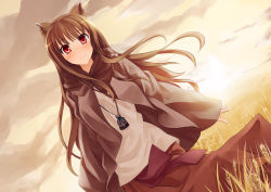 Rule 34 | 00s, 1girl, animal ears, blush, brown hair, dutch angle, field, holo, long hair, pino (birthdayparty), pino (pixiv), red eyes, smile, solo, spice and wolf, wheat, wolf ears