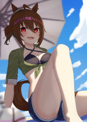 Rule 34 | 1girl, absurdres, agnes tachyon (lunatic lab) (umamusume), agnes tachyon (umamusume), ahoge, animal ears, bikini, black bikini, blue shorts, blurry, blurry background, brown hair, commentary, criss-cross halter, depth of field, feet out of frame, flask, green jacket, hair between eyes, halterneck, highres, horse ears, horse girl, horse tail, jacket, looking at viewer, official alternate costume, official alternate hairstyle, parasol, red eyes, round-bottom flask, rukimi8787, short ponytail, short shorts, shorts, solo, swimsuit, tail, tied jacket, umamusume, umbrella