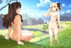 Rule 34 | 2girls, ahoge, aqua eyes, artistic nudity, artoria pendragon (fate), ass, back, bare legs, bare shoulders, blonde hair, blue eyes, blue sky, bow, breasts, breasts apart, brown hair, butt crack, cleft of venus, cloud, fate/stay night, fate/unlimited codes, fate (series), female focus, field, grass, hair bow, hair ribbon, hand in own hair, hill, house, long hair, long legs, looking at viewer, looking back, medium breasts, mountain, multiple girls, nipples, nude, outdoors, ponytail, power lines, profile, pussy, ribbon, saber (fate), saber lily, scenery, shadow, sideways mouth, sitting, sky, small areolae, small breasts, small nipples, standing, takeuchi takashi, third-party edit, tohsaka rin, tree, twintails, two side up, uncensored, utility pole, well, zenra