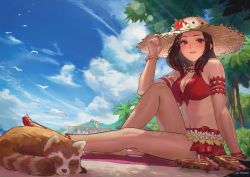 Rule 34 | 1girl, animal, armlet, ball, beach, bead bracelet, beads, bikini, bird, blue sky, blush, bracelet, breasts, brown hair, chakram, cleavage, cloud, cloudy sky, commentary, commission, dappled sunlight, emknov, english commentary, final fantasy, final fantasy xiv, flower, full body, hand on headwear, hat, hat flower, highres, jewelry, knee up, lips, looking at viewer, medium breasts, medium hair, multicolored hair, navel, necklace, outdoors, palm tree, parted lips, red bikini, red eyes, red footwear, red hair, sandals, shade, sitting, sky, smile, solo focus, spikes, stomach, straw hat, streaked hair, sunlight, swimsuit, toes, tree, twitter username, two-tone hair, volleyball, volleyball (object), volleyball net, warrior of light (ff14), weapon