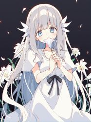 Rule 34 | 1girl, absurdres, black background, black ribbon, blue eyes, blush, dress, ender lilies quietus of the knights, flower, highres, holding, holding flower, lily (ender lilies), lily (flower), long hair, ribbon, short sleeves, sidelocks, silver hair, solo, upper body, w arms, white dress, white flower, zoirun