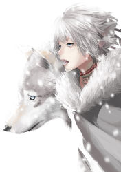 Rule 34 | 1girl, absurdres, animal, animal ears, blue eyes, cape, eyelashes, fangs, fur cape, grey cape, grey hair, hair tubes, highres, jewelry, kalua (artist), necklace, nose, original, pink lips, short hair, simple background, snowing, solo, teeth, upper body, white background, wolf, wolf ears