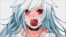 Rule 34 | 1girl, animal ears, artist request, black collar, blue hair, blush, character request, choker, collar, collarbone, copyright request, crying, crying with eyes open, fangs, light blue hair, long hair, looking at viewer, non-web source, red eyes, screaming, shirt, shouting, simple background, sobbing, solo, streaming tears, t-shirt, tears, third-party edit, white background, white shirt
