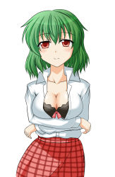 Rule 34 | 1girl, black bra, bra, breast hold, breast lift, breasts, cleavage, female focus, green hair, kazami yuuka, lingerie, medium breasts, open clothes, open shirt, plaid, plaid skirt, red eyes, red skirt, shirt, short hair, simple background, skirt, smile, solo, touhou, tsukimi (ryouiki ridatsu), tukimi, unbuttoned, underwear