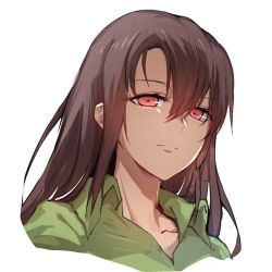 Rule 34 | 1girl, brown hair, chilunchilun, chinese commentary, collared shirt, commentary request, girls&#039; frontline, green shirt, hair between eyes, long hair, looking at viewer, lowres, open collar, portrait, red eyes, shirt, simple background, solo, type 64 (girls&#039; frontline), white background