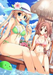 Rule 34 | 2girls, artist request, beach, character request, copyright request, food, multiple girls, popsicle, swimsuit, tagme