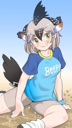 Rule 34 | 1girl, bird tail, black hair, blouse, blue shirt, booth tomato, clothes writing, greater roadrunner (kemono friends), green eyes, grey hair, hair between eyes, hair tubes, head wings, kemono friends, kemono friends 2, looking at viewer, multicolored hair, on ground, parted lips, raglan sleeves, shirt, short hair, short sleeves, shorts, sitting, smirk, solo, sweat, tail, v-shaped eyebrows, wings