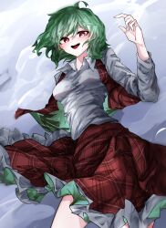 Rule 34 | 1girl, :d, alt text, breasts, collared shirt, commentary, frilled skirt, frills, green hair, highres, kazami yuuka, long sleeves, looking at viewer, medium breasts, open mouth, plaid, plaid skirt, plaid vest, red eyes, red skirt, red vest, shirt, short hair, skirt, smile, solo, touhou, vest, vivo (vivo sun 0222), white shirt