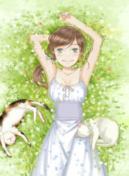 Rule 34 | 1girl, arm up, blush, breasts, brown hair, cat, day, dress, flower, from above, grass, green eyes, kawamoto akari, long hair, looking at viewer, lying, on back, outdoors, sangatsu no lion, small breasts, smile, solo, summer worm, white cat, white dress