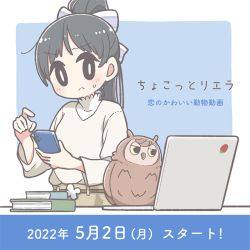 Rule 34 | 1girl, belt, bird, black eyes, black hair, blush, book, bow, brown belt, brown sweater, cellphone, computer, east sha2, hair behind ear, hair bow, hazuki ren, holding, holding phone, laptop, leaning to the side, looking to the side, love live!, love live! superstar!!, manmaru (love live!), official art, owl, phone, smartphone, solo, sweater, v-shaped eyebrows, white bow
