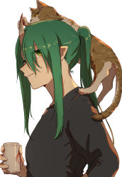 Rule 34 | 1girl, alcohol, animal, animal on head, arknights, beer, beer can, black shirt, can, cat, cat on head, chinese commentary, commentary, drink can, from side, green eyes, green hair, highres, holding, holding can, horns, hoshiguma (arknights), long hair, looking at viewer, natsuyiro x, on head, ponytail, profile, shirt, simple background, single horn, skin-covered horns, solo, upper body, white background