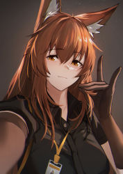 Rule 34 | 1girl, animal ear fluff, animal ears, arknights, black shirt, breasts, brown background, brown eyes, brown gloves, brown hair, closed mouth, collared shirt, elbow gloves, fox ears, fox shadow puppet, franka (arknights), gloves, highres, id card, krirk, large breasts, long hair, looking at viewer, selfie, shirt, simple background, smile, solo, upper body