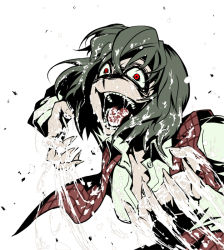 Rule 34 | 1girl, breasts, cleavage, constricted pupils, crazy, cum, evil smile, female focus, fingernails, green hair, hetza (hellshock), kazami yuuka, medium breasts, open mouth, plaid, plaid vest, red eyes, sexually suggestive, sharp fingernails, smile, solo, touhou, vest, white background