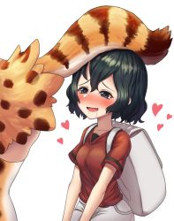 Rule 34 | 2girls, backpack, bag, black hair, blue eyes, blush, breasts, drooling, heart, heart-shaped pupils, kaban (kemono friends), kemono friends, looking at another, multiple girls, neukkom, open mouth, red shirt, saliva, serval (kemono friends), serval print, shirt, short hair, short sleeves, skirt, small breasts, smile, symbol-shaped pupils, tail, thighhighs