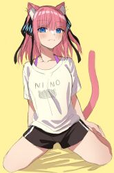 Rule 34 | 1girl, :3, animal ear fluff, animal ears, arms at sides, black ribbon, black shorts, blue eyes, blunt bangs, butterfly hair ornament, cat ears, cat girl, cat tail, character name, closed mouth, clothes writing, collarbone, commentary, eyes visible through hair, full body, go-toubun no hanayome, hair ornament, hair ribbon, highres, kemonomimi mode, kneeling, looking at viewer, medium hair, nakano nino, pink hair, ribbon, shirt, short sleeves, shorts, simple background, sketch, smile, solo, split mouth, straight hair, susukida (sususabu0710), tail, tail raised, tsurime, two side up, white shirt, yellow background