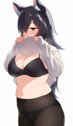 Rule 34 | 1girl, animal ear fluff, animal ears, black bra, black hair, black panties, bra, breasts, clothes lift, cowboy shot, hair between eyes, hands up, hololive, large breasts, lifting own clothes, long hair, long sleeves, looking to the side, multicolored hair, navel, no pants, ookami mio, panties, panties under pantyhose, pantyhose, simple background, solo, steaming body, streaked hair, sweater, sweater lift, terazip, underwear, virtual youtuber, wolf ears, wolf girl