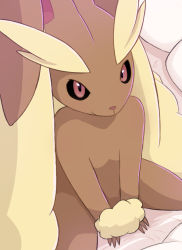 Rule 34 | 1girl, animal nose, bed sheet, black sclera, body fur, brown fur, closed mouth, colored sclera, creatures (company), female focus, flat chest, from above, furry, furry female, game freak, gen 4 pokemon, happy, highres, looking at viewer, looking up, lopunny, nintendo, own hands together, pillow, pokemon, pokemon (creature), rabbit ears, rabbit girl, red eyes, rumine (yoshi1234567), sitting, smile, solo, two-tone fur, v arms, wariza, yellow fur