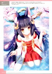 Rule 34 | 1girl, animal ears, azur lane, bad id, bad yandere id, bare shoulders, black hair, blurry, cherry blossoms, depth of field, dress, fox ears, from above, hair ornament, highres, in water, japanese clothes, jewelry, long hair, looking at viewer, moekibara fumitake, nagato (azur lane), necklace, off-shoulder dress, off shoulder, official art, orange eyes, parted lips, petals, sitting, solo, sparkle, wariza, wet
