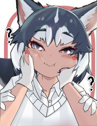 Rule 34 | 1girl, ?, absurdres, animal ears, black hair, blush, blush stickers, buttons, cheek pinching, cheek squash, closed mouth, collared shirt, colored inner hair, dog ears, dog girl, dog tail, gloves, grey eyes, hands on another&#039;s cheeks, hands on another&#039;s face, highres, kemono friends, looking at viewer, medium hair, morrowine, multicolored hair, no jacket, pinching, pov, pov hands, shirt, siberian husky (kemono friends), solo focus, sweater vest, tail, two-tone hair, upper body, white gloves, white hair, white shirt, wing collar