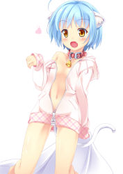 Rule 34 | 1girl, :o, ahoge, animal ears, bed sheet, bell, blue hair, brown eyes, cat ears, coat, collar, collarbone, dutch angle, fang, flat chest, gluteal fold, heart, hood, hoodie, kneeling, long sleeves, naked coat, naked hoodie, navel, neck bell, off shoulder, open mouth, original, paw pose, petite, sekine irie, short hair, simple background, sleeves past wrists, solo, standing, tail, white background