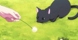Rule 34 | animated, animated gif, anime screenshot, cat, screencap, solo, tagme, uta no prince-sama