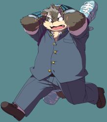 Rule 34 | 1boy, animal ears, armor, bara, blue background, blue gakuran, brown fur, chest tuft, collared shirt, commentary request, dog boy, dog ears, dog tail, eyebrow cut, fangs, fat, fat man, forked eyebrows, full body, furry, furry male, gakuran, hands on own head, huge eyebrows, japanese armor, kote, loafers, looking to the side, male focus, moritaka (housamo), open mouth, partially unbuttoned, running, sakusan (ch3cooh1231), scar, scar on arm, scar on face, scar on nose, school uniform, shirt, shoes, short hair, simple background, solo, tail, tokyo houkago summoners, weapon, weapon on back, white shirt