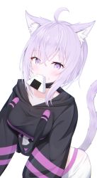 Rule 34 | 1girl, ahoge, animal ear fluff, animal ears, black hoodie, blush, breasts, cat ears, cat girl, cat tail, collarbone, commentary request, drawstring, eating, food, food in mouth, food on face, hair between eyes, highres, hololive, hood, hood down, hoodie, long sleeves, looking at viewer, medium breasts, mouth hold, nekomata okayu, nekomata okayu (1st costume), onigiri, pants, puffy long sleeves, puffy sleeves, purple eyes, purple hair, rice, rice on face, simple background, solo, starfox1015, tail, virtual youtuber, white background, white pants
