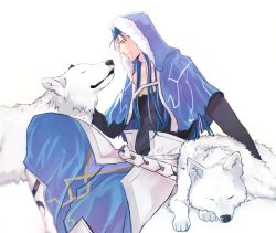 Rule 34 | 1boy, animal, belt, blue hair, capelet, closed mouth, cu chulainn (caster) (fate), cu chulainn (fate), cu chulainn (fate/stay night), fate/grand order, fate (series), fur-trimmed hood, fur trim, hood, hood up, hooded capelet, long hair, male focus, petting, red eyes, sabo ch, simple background, type-moon, white wolf, wolf